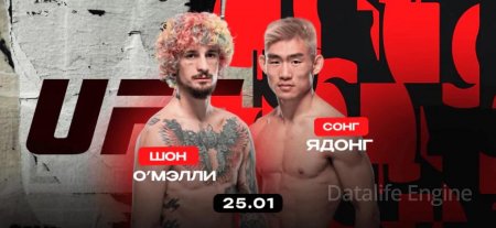 شون أومالي ضد سونغ يادونغ